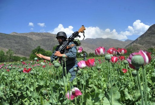 Production of Opium in Afghanistan has TRIPLED since NATO-led troops took over in 2006.  Viktor Ivanov, the head of Russia's Federal Drug Control Service, criticized the US/NATO occupiers' unwillingness to destroy the opium crops (which began under orders by Gen. Stanley A. McChrystal :. "As long as there are opium poppy fields, there will be trafficking."  Afghanistan is currently the producer of 90%  of the world's heroin.