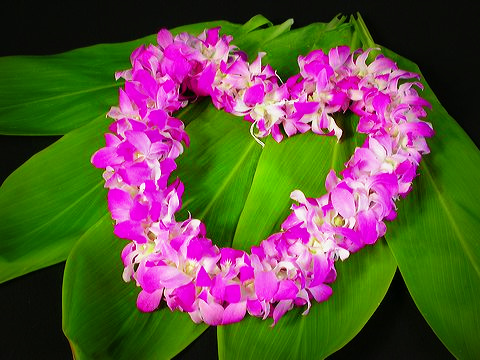 The Hawaiian lei is a symbol of eternal love.  It is also a symbol that life is temporary.  As the flowers fade and die, we are reminded to live in the moment and cherish those we love the most.