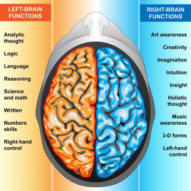 left-brain-right-brain