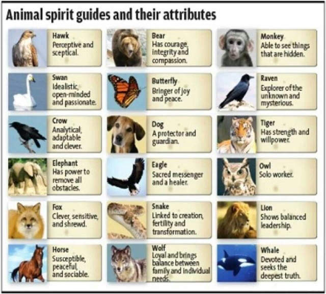 Like people, animals also have unique and special spirits that differentiate them from the rest of the animal kingdom.  For a complete list of their attributes and characteristics, see:  http://www.spiritwalkministry.com/spirit_guides/land_animal_spirits http://www.spiritwalkministry.com/spirit_guides/land_animal_spirits