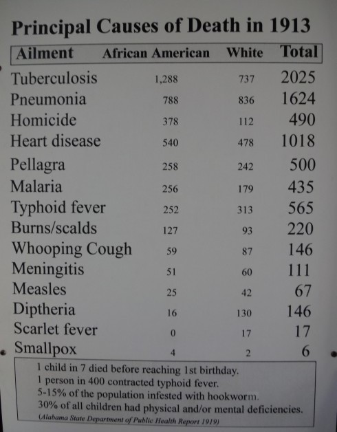 According to an Alabama State Department of Public Health Report issued in 1919, approximately 30% of all children in that state in 1913 had physical and or mental deficiencies.