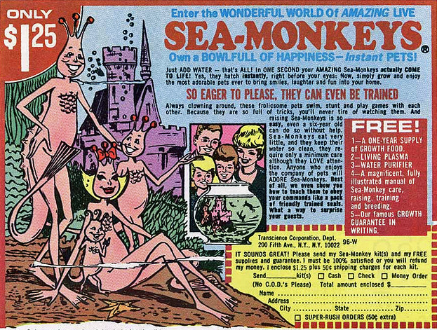 sea-monkeys.png