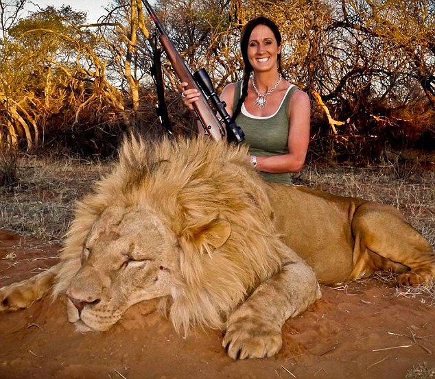 Lion huntress Melissa Bachman sparked international outrage last year when she posted a picture on social media boasting about killing a magnificent male lion in the Maroi Conservancy in South Africa.  Experts estimate that 90% of the unnatural deaths of lions are due to human poaching.  With only 22,000 lions remaining in the wild (down from 100,000 only 50 years ago), this species could become extinct as early as 2020.  