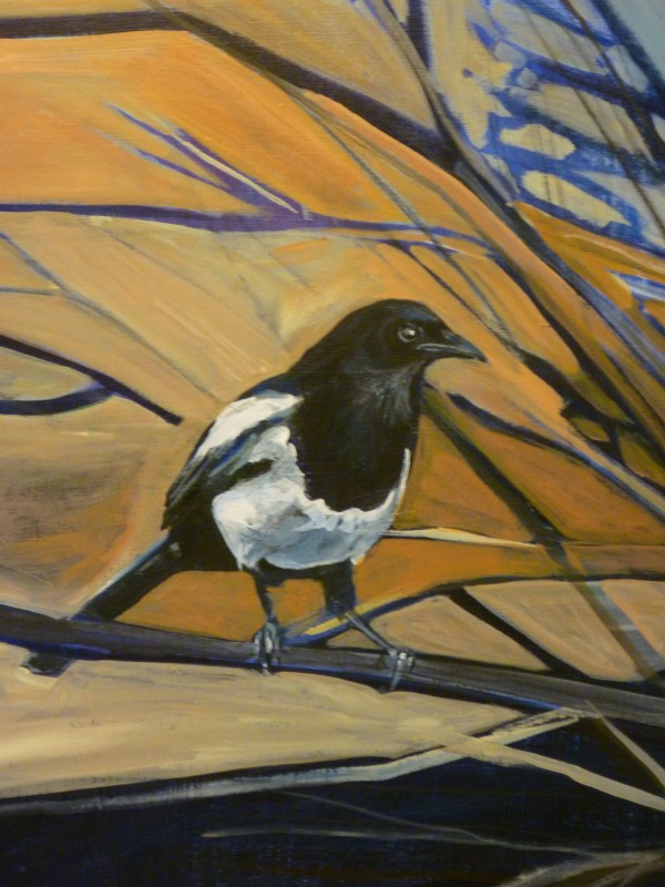 magpie2